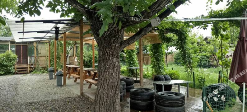 大泥碗儿民宿图片