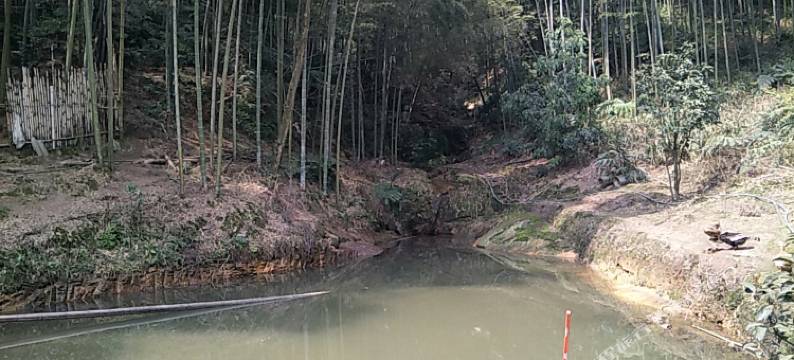 蜀南竹海云海家园农家乐图片