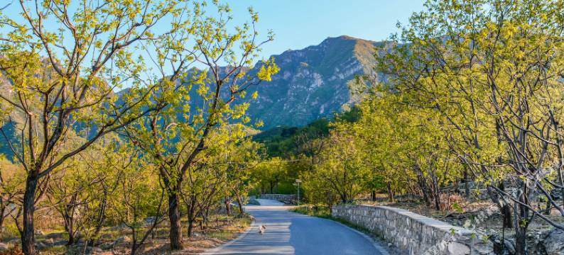 北京国奥乡居别院图片
