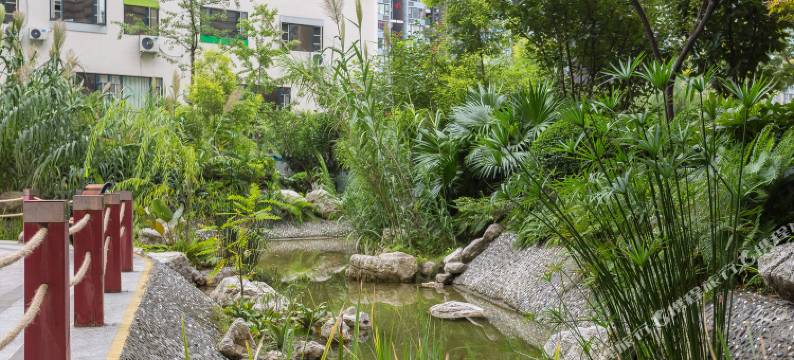 成都爱的住巢普通公寓图片