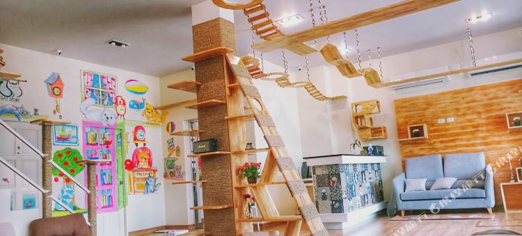 猫的故事酒店(Cat Story Hotel Phuket)图片