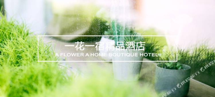 周口一花一宿 | Designer酒店(红星美凯龙广场交通路店)图片