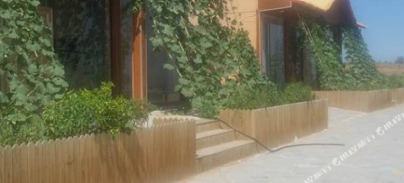 中卫沙观生态园图片