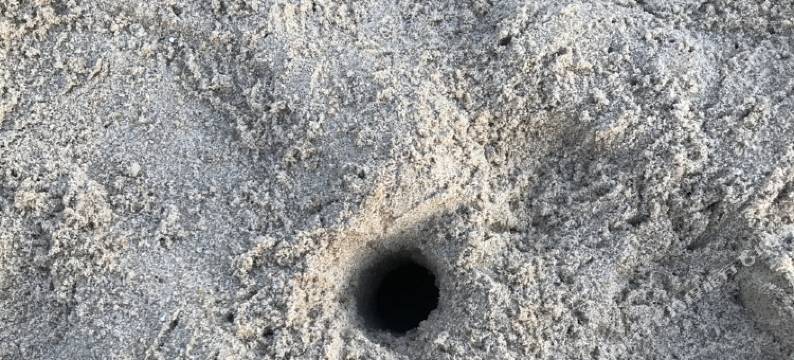 南澳青澳湾海岛故事美宿图片