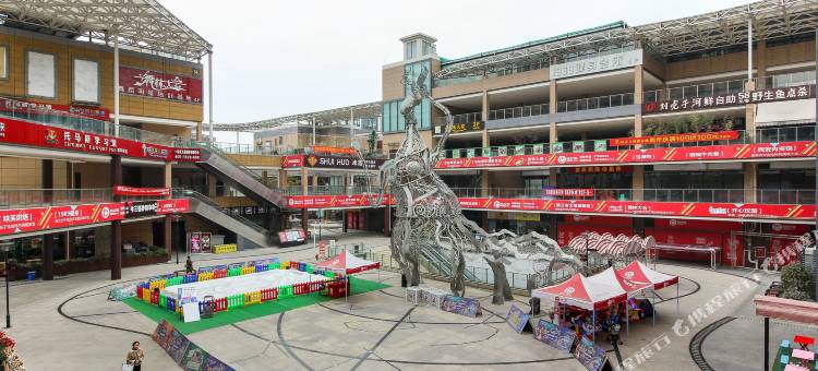 成都芳草清香普通公寓图片