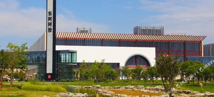 东阿阿胶文化酒店图片