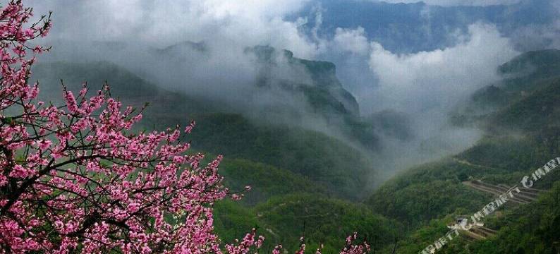 云台山云岸之家民宿(岸上服务区店)图片