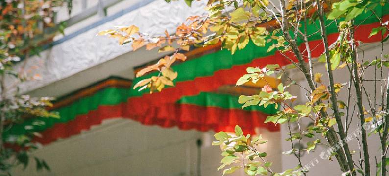 拉萨西城青年客栈图片