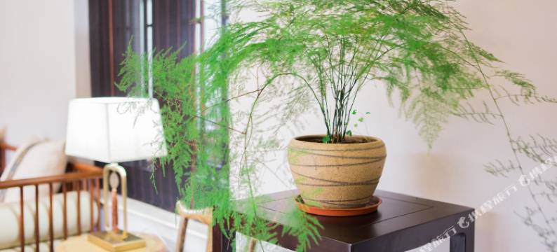 象山沐客愉院玫瑰海边四合院图片