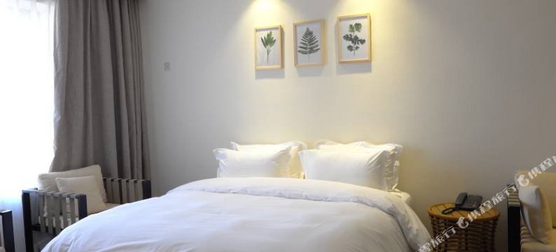 精河孵梦森林精品酒店图片