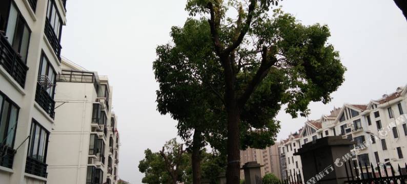 上海艾芯宝宝公寓图片