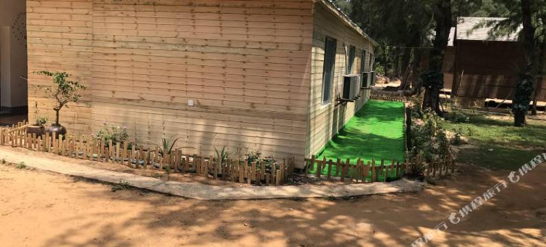 涠洲岛贝壳沙滩滨海海景木屋图片