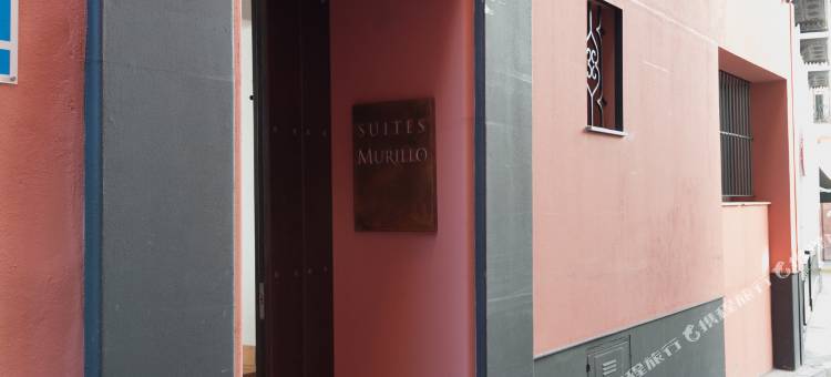 穆里略大教堂套房酒店(Suites Murillo Catedral)图片