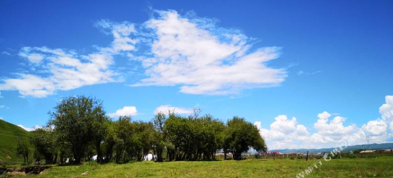园梦酒店(红原银珠广场店)图片