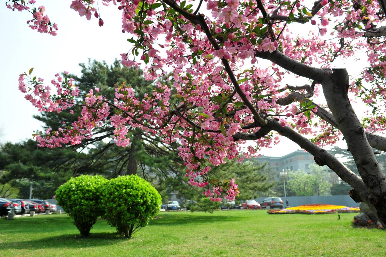 北京友谊宾馆贵宾楼图片