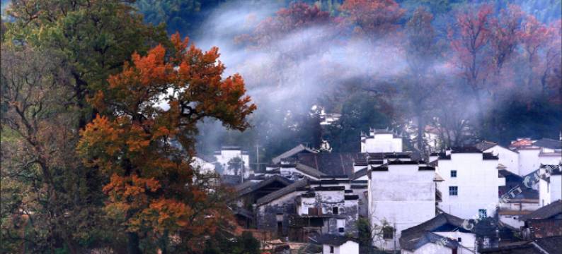 婺源山景红枫客栈图片