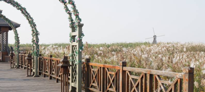 慈溪泊庭酒店(杭州湾世纪城店)图片