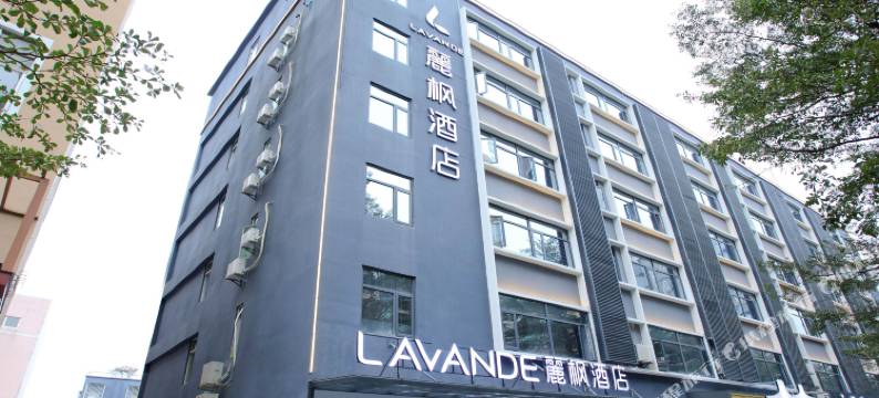 麗枫酒店(深圳万科云城西丽地铁站店)图片