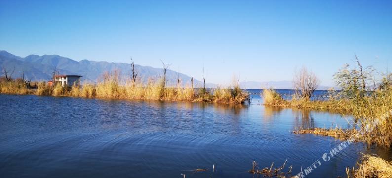 大理春花秋月客栈图片
