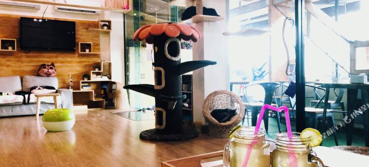 猫的故事酒店(Cat Story Hotel Phuket)图片