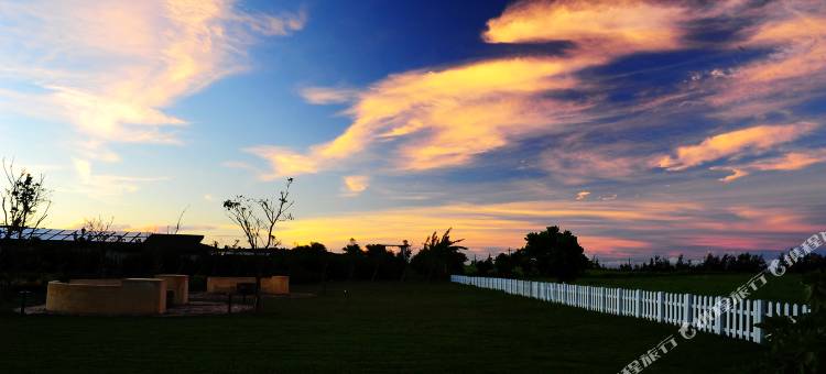 屏东放牛吃草图片