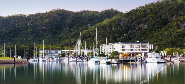 Peppers Blue on Blue图片