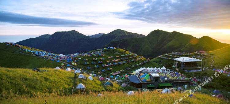 武功山观音宕草甸星空户外营地图片