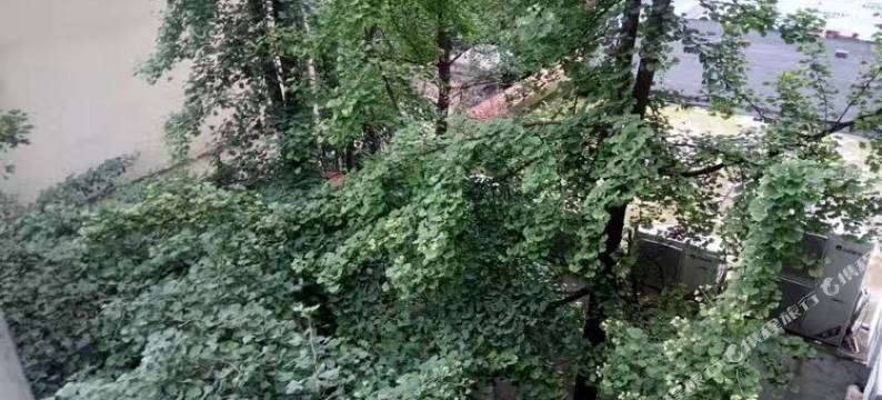 新津瑞通旅馆图片