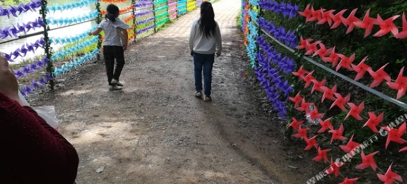 汉中桓源农家乐民宿图片