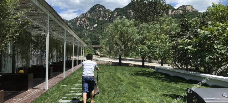 蹉跎芸庐民宿(北京椴树岭村店)图片