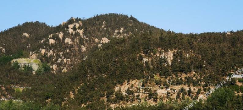 崂山一号客栈图片