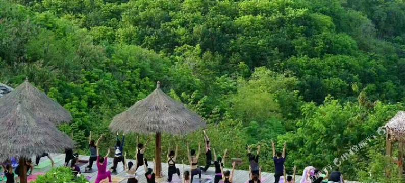 景洪雨林幽谷文化客栈图片