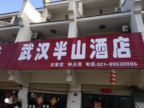 武汉半山民宿