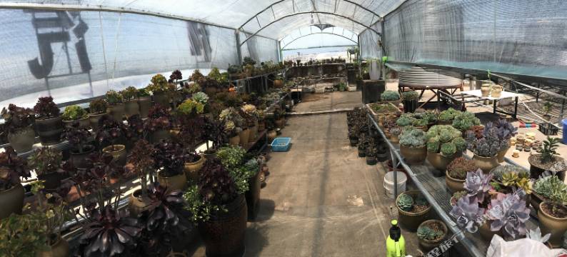 旭和酒店(普洱高铁站店)图片