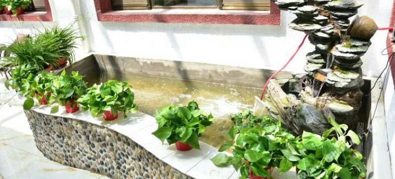 清风小栈(金山岭长城店)图片