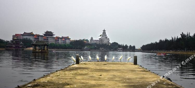 厦门花屿艺墅家(集美学村松柏楼店)图片