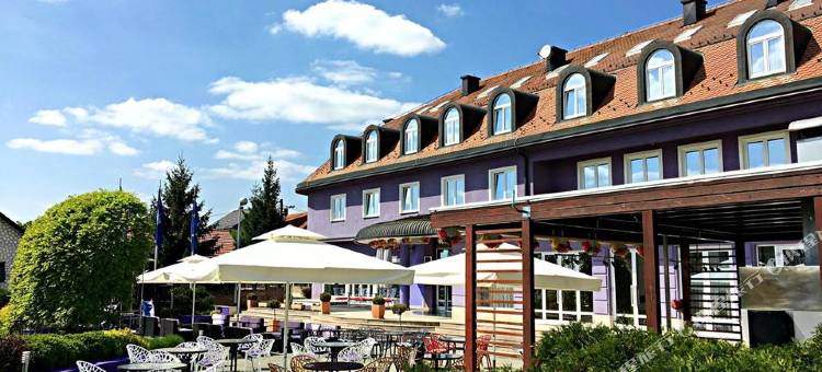 凤凰酒店(Hotel Phoenix)图片