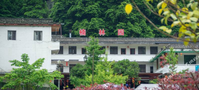 青城山大哥楠林园图片