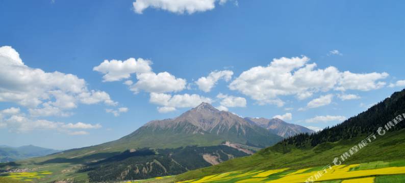 祁连牛心山农家山庄图片