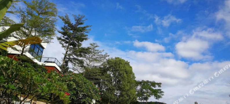 厦门泉天下度假别墅图片