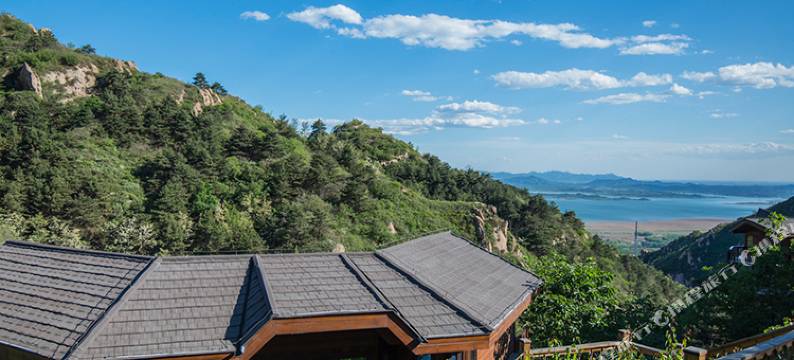 云峰山童话树屋图片