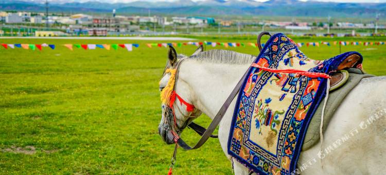 海晏达玉国际大酒店图片