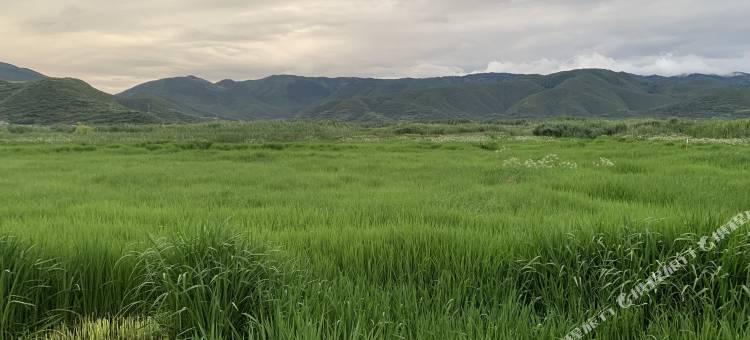 泸沽湖玫瑰庄园图片