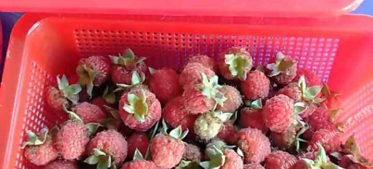 杭州麦香园农家乐图片