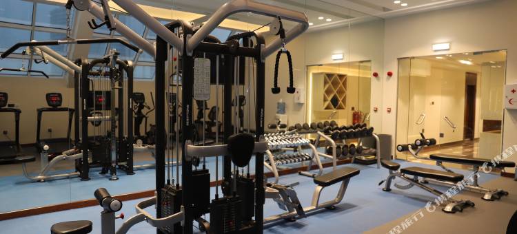 郁锦香媒体酒店(Golden Tulip Media Hotel)图片