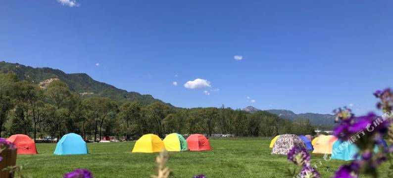 灵寿花溪谷树桥公园酒店图片