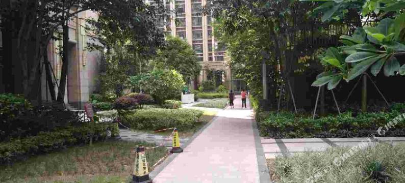 深圳81青年旅舍图片