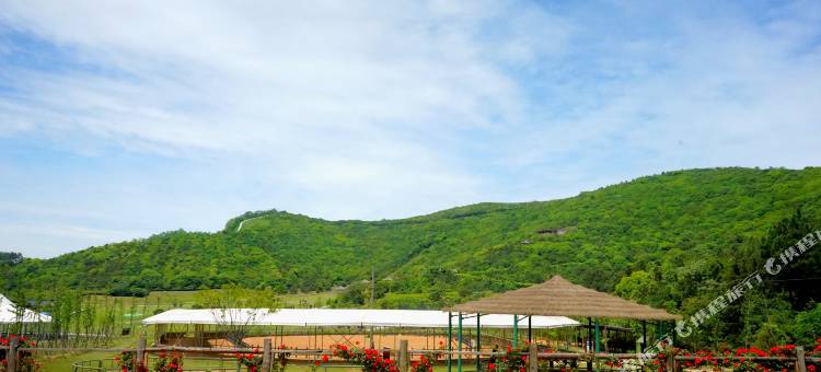 常州修心民宿图片