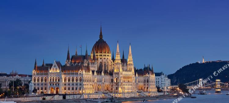 布达佩斯哈布图宫殿酒店 (前丽思卡尔顿酒店)(Al Habtoor Palace Budapest)图片