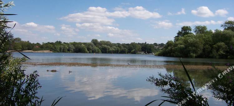普瑞米尔伦敦埃尔斯特里/伯翰姆伍德酒店(Premier Inn London Elstree / Borehamwood)图片